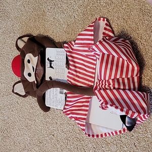 Sock Money Halloween Dog Costume